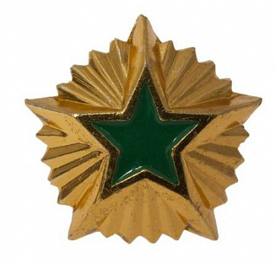 Звезда на погоны металлическая 14мм Росприроднадзор с зеленой эмалью, золото