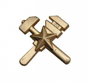Эмблема петличная металлическая Топографическая служба нового образца правая, золото