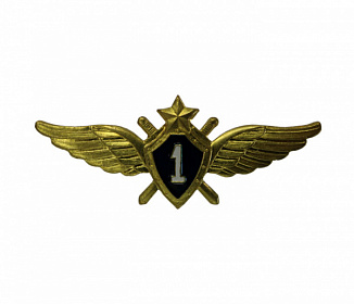Знак металлический Классность ВВС 1 класс нового образца