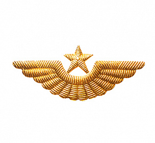 Эмблема на тулью металлическая СА ВВС (ВВС СССР)