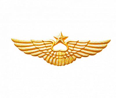 Эмблема на тулью металлическая  ВВС нового образца