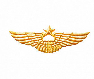 Эмблема на тулью металлическая  ВВС нового образца