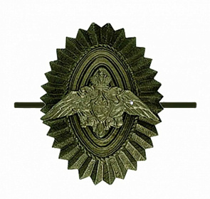 Кокарда металлическая Пограничные войска офицерского состава рифленая, защитного цвета
