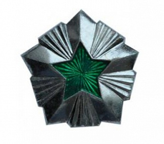 Звезда на погоны металлическая 20мм Общегражданская с зеленой эмалью, серебро