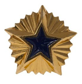 Звезда на погоны металлическая 14мм Ространснадзор с синей эмалью, золото