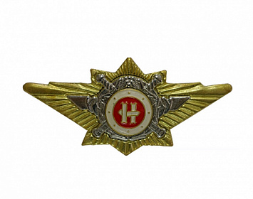 Знак металлический Классность офицерская МВД Наставник нового образца